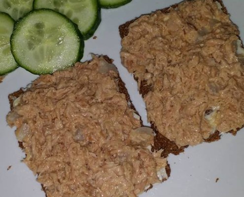 lunch vezelcrackers met tonijn paula kipping