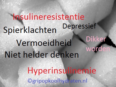 Insulineresistentie –  hyperinsulinemie – Grip op Koolhydraten